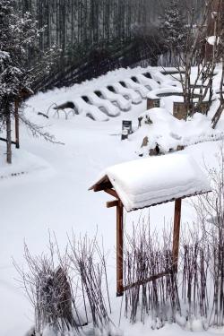 长白山｜-30℃，美女穿着比基尼，泡温泉