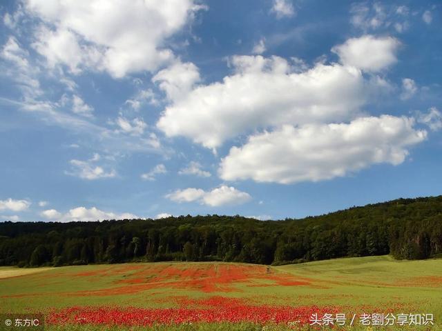 百家号：2023澳门管家婆资料正版大全-中国汉字：3500常用字读音（二）字字有拼音，快来认一认！