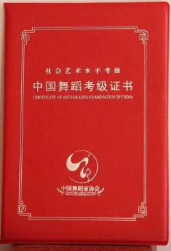 西瓜视频：2024香港历史开奖结果-舞蹈家协会 中国舞蹈家协会（1-10级）少儿舞蹈学员考级