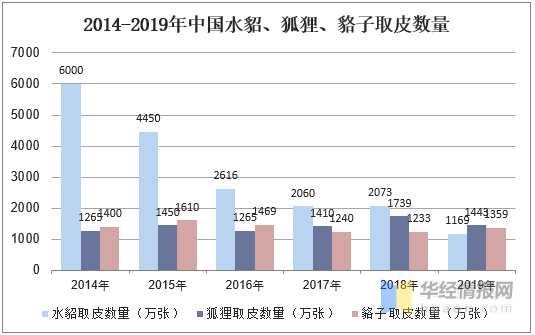 哔哩哔哩：新澳彩资料免费长期公开951期-毛皮行业发展现状及发展策略分析，政府应加大扶持力度「图」