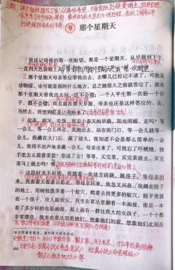 小红书：2024今晚新澳门开特马-六年级语文下册第九课《那个星期天》课文笔记，预习的好帮手