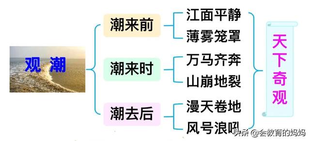 微博：2023澳门管家婆资料正版大全-小学语文四年级上册第1课《观潮》超详细课文笔记