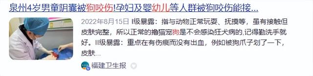 潮新闻客户端：新澳好彩免费资料查询-狗不栓绳，为什么受伤的总是孩子？