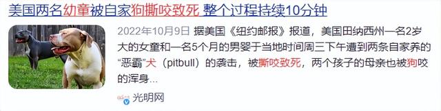 潮新闻客户端：新澳好彩免费资料查询-狗不栓绳，为什么受伤的总是孩子？