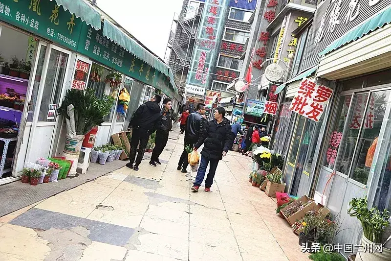 兰州市中心的这个花市……那么多美丽等着 “花痴”的你，想不想去逛逛呢？