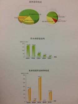 “东南植物宝库”—浙江森林植物分布图