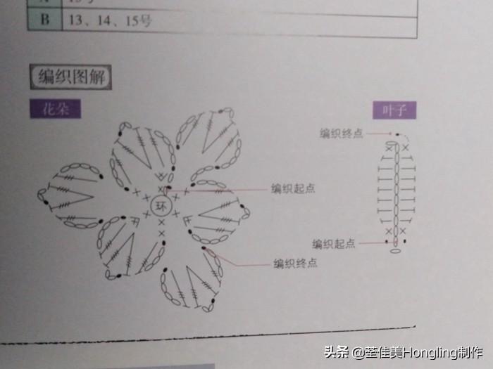 「钩一朵美丽的小花花」我家绿萝开花了，哈哈