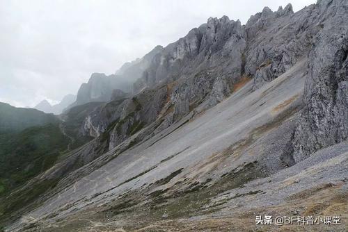 离天堂最近的精灵-10种高山花卉，一旦见过，永生难忘