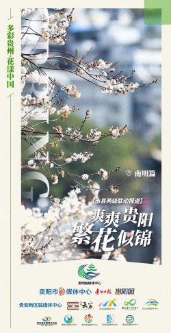 “爽爽贵阳·繁花似锦” 市县两级联动报道⑦丨南明区：春花开遍满城芳