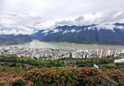 重庆市巫山县拍摄栾树花开，巫峡两岸秋意渐浓