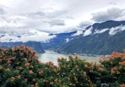 重庆市巫山县拍摄栾树花开，巫峡两岸秋意渐浓