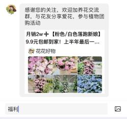 多肉植物叶子发软怎么办？教你三招，让它重新挺拔起来！