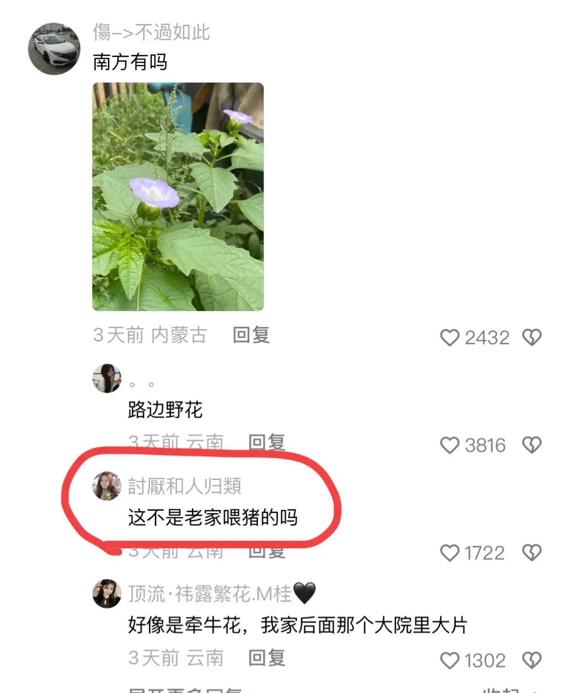 论南北方的绿植差异有多大？网友：难道北方真的没有吗？