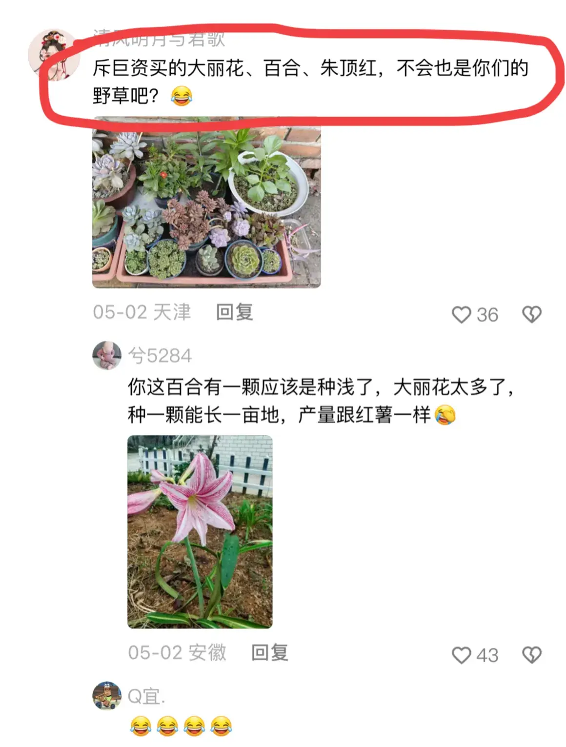 论南北方的绿植差异有多大？网友：难道北方真的没有吗？