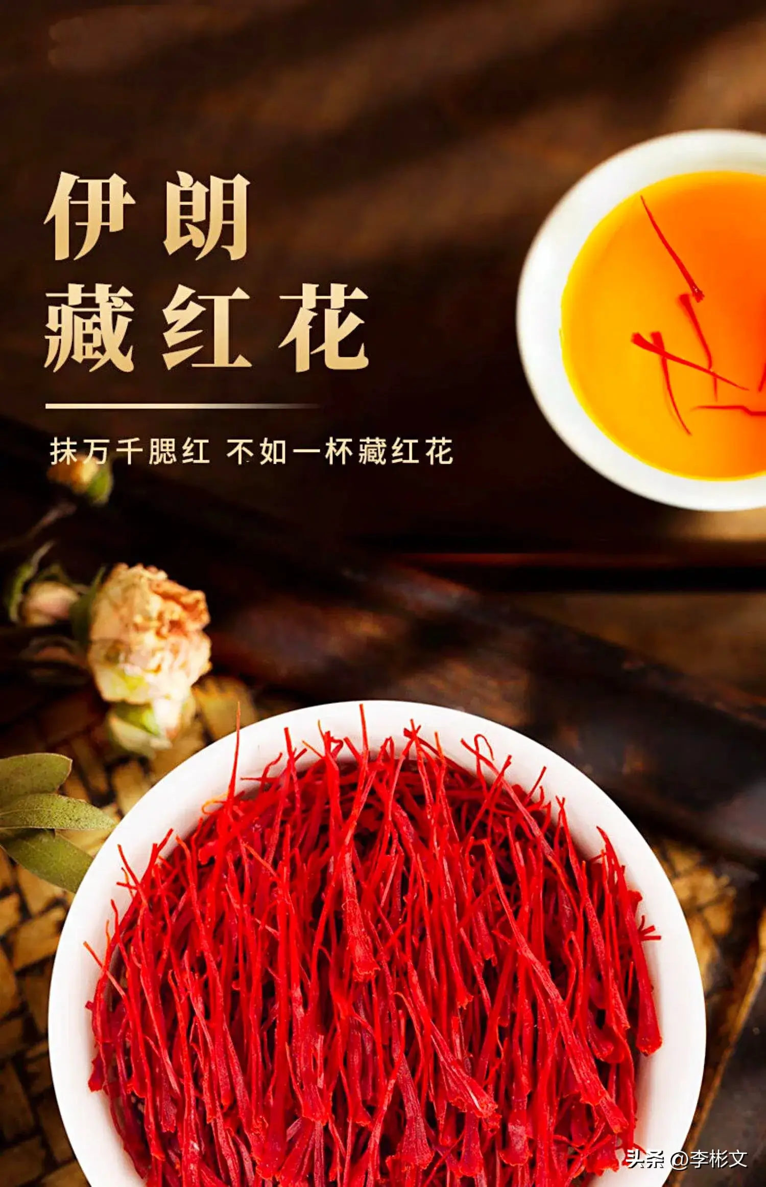 首发原创·秋天盛开的花（续）·藏红花·羊蹄甲·三角梅·美人蕉·朱槿