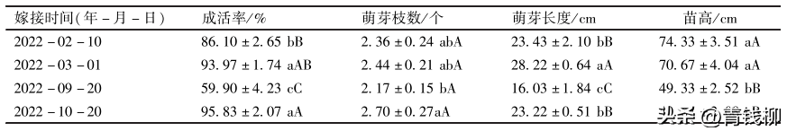 揭秘沉香易结香品种嫁接育苗技术的秘密